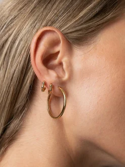 New Saint and Sofia Classic Hoop Earrings - Gold