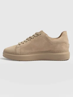 Clearance Saint and Sofia Hampstead Sneaker - Camel Suede